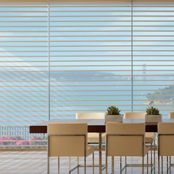 Corbusier_hunterdouglas10-250x250